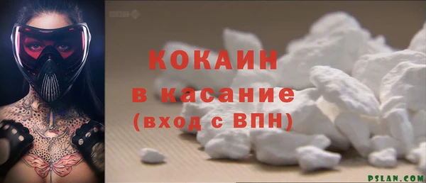 твердый Богородск